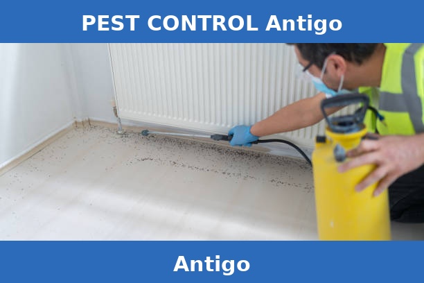 PEST CONTROL Antigo